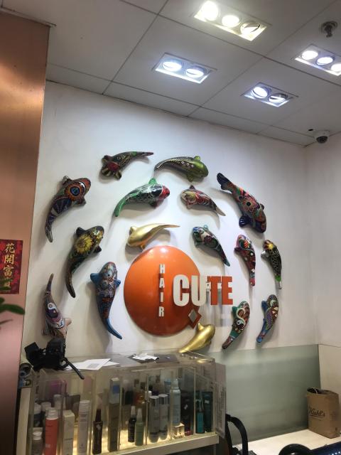 髪型師好細心,位置好,價錢合理,值得推薦👍👍