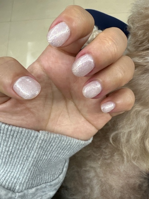 甲師好細心,五臟雖小,設備齊全
