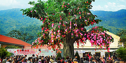 The Chinese New Year Places: Pray for well-being @ Lam Tsuen Wishing Trees