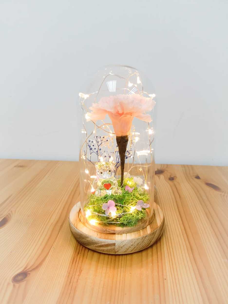 【Exclusive 50% Off】Carnation Lamp Workshop