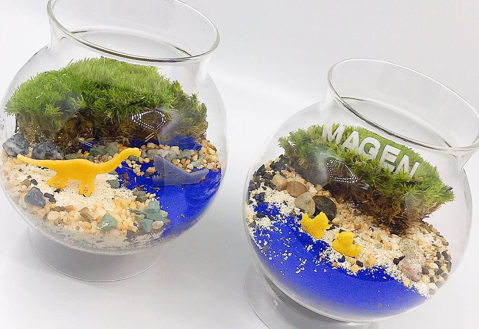 【Exclusive 25% Off】Moss Bonsai Workshop