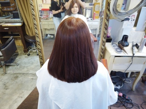 Hair Papillon