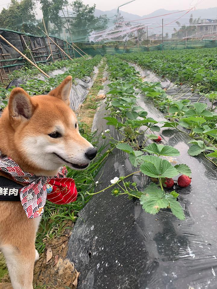 Creative Organic Farm