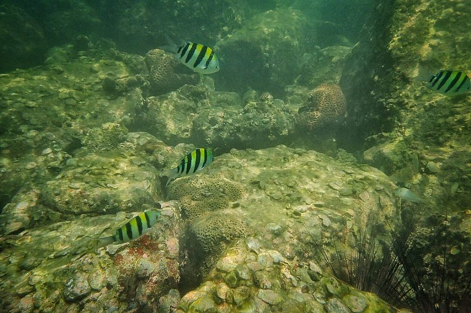 Hong Kong Snorkeling Locations