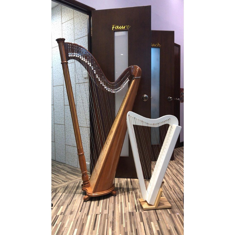 40弦Lever Harp & 26弦 Harpsicle