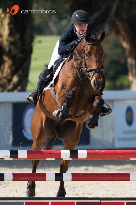 Sport, Horse, Racing Photography