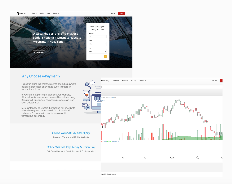 CaketraTech為公司客户開發電子交易轉帳網站。