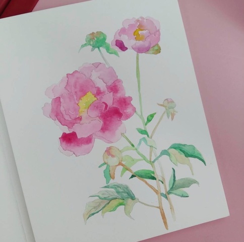 水彩作品