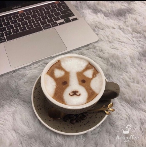 打卡圖案|柯基🐶