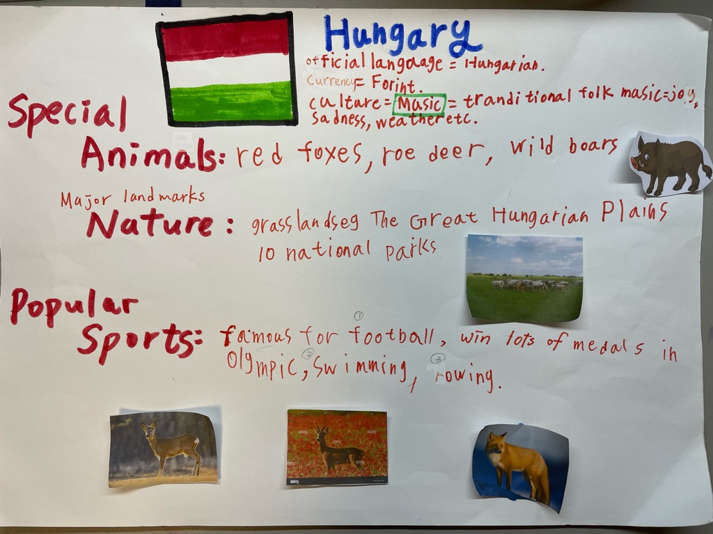 Introducing Hungary to the teacher and classmate! A cardboard made for presentation in a project.