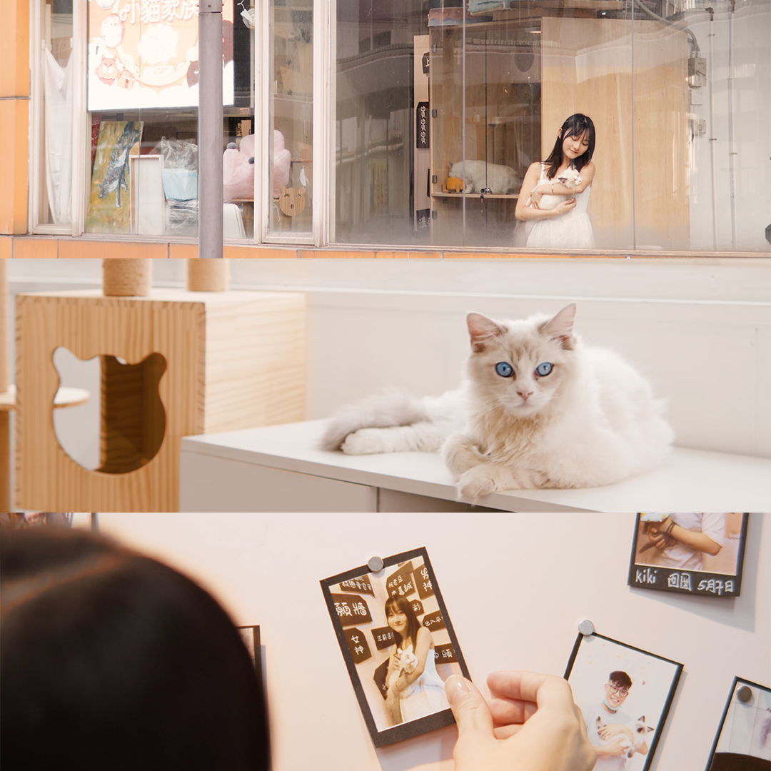 Client: Q Cat Pet Shop
#videoproduction
#photography