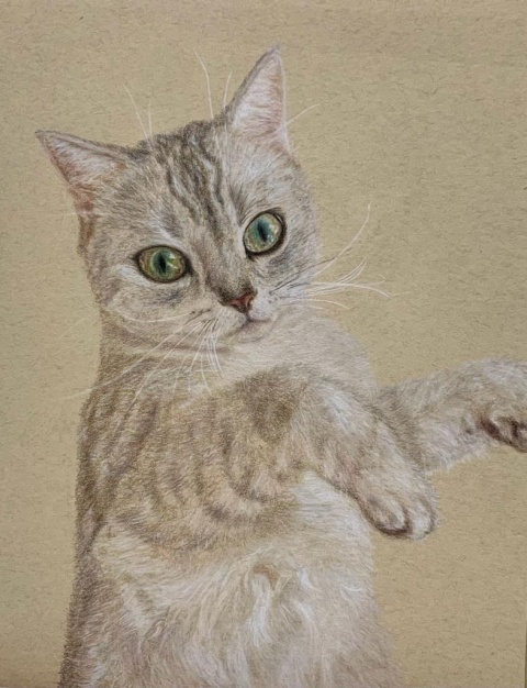 學生木顏色動物素描作品