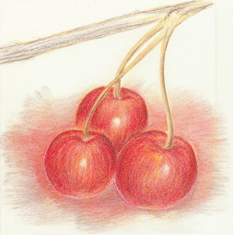 色鉛筆/ Colored Pencil