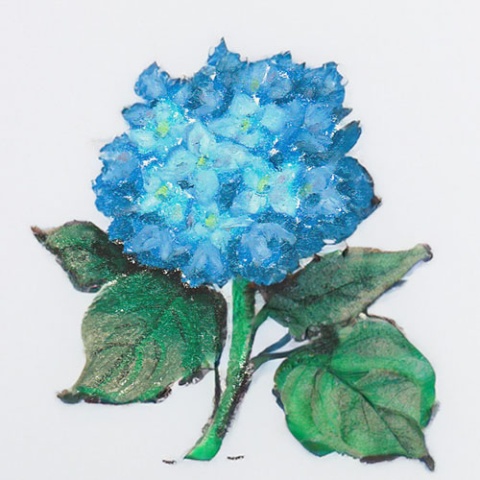 油粉彩/ Oil Pastel