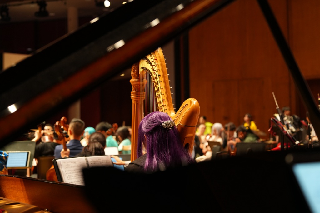 2024 HKDP Orchestra 10th Anniversary Concert