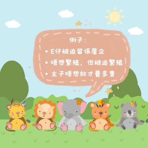 療癒不和諧3️⃣