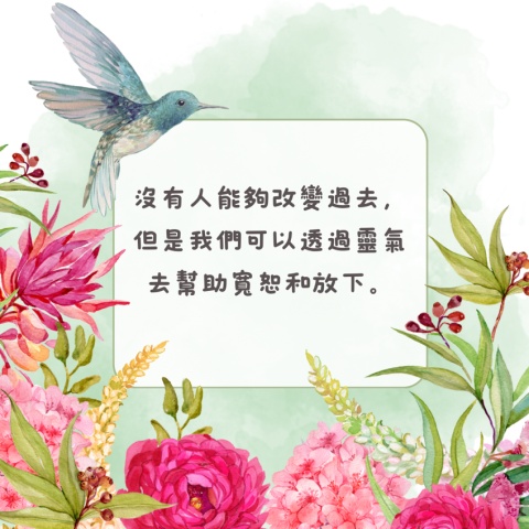 寬恕花園4️⃣