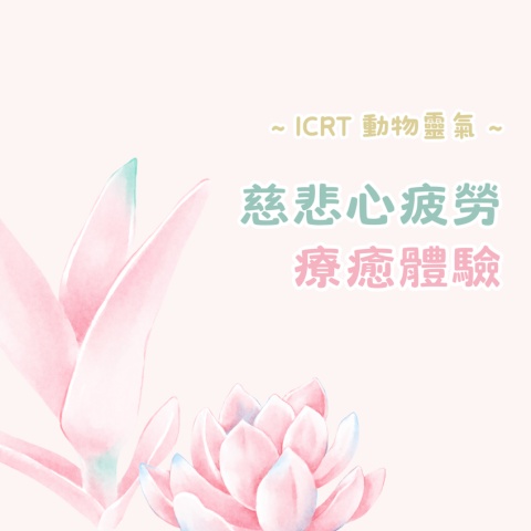 療癒慈悲心疲勞1️⃣