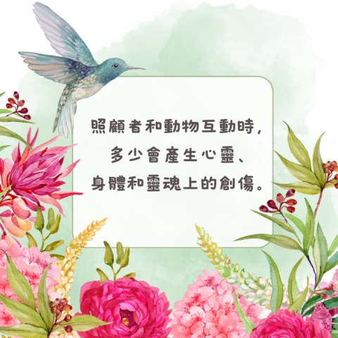 寬恕花園2️⃣
