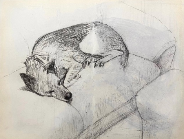 林Sir動物炭筆作品。