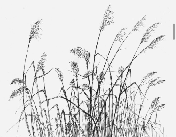 林Sir風景寫生作品。