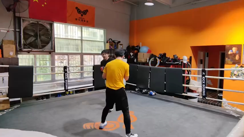 Mitt work