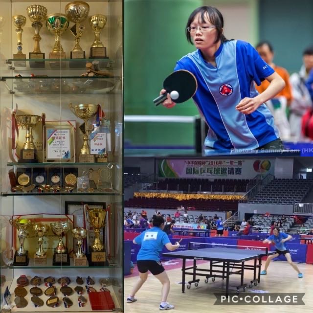 香港乒乓總會註冊教練
女子甲組球員
公開章別考試鑽章長膠考官
全港甲組單打殿軍，團體冠亞及殿軍
