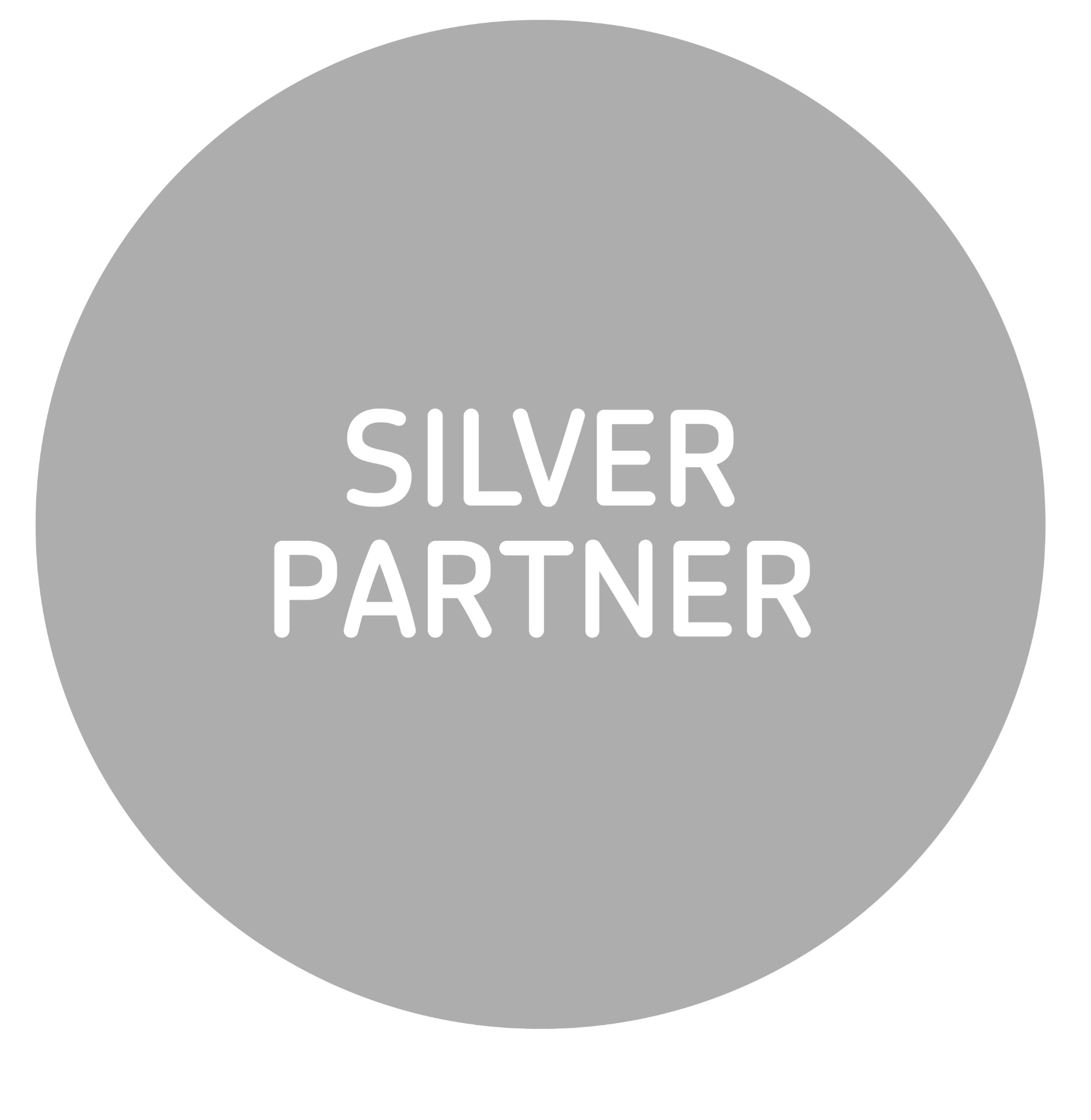 Xero Silver Partner