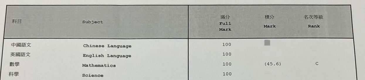 【補底前】中二數學僅 45.6 分（有私補仍不合格）