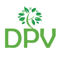 DPV 展思教育