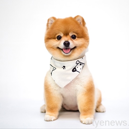蔡羽威