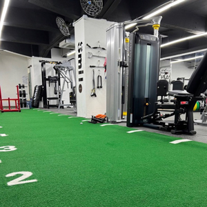 Vagan Fitness Premier