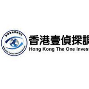 HONG KONG THE ONE  INVESTIGATION LTD