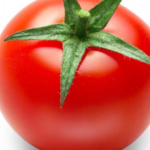 Tomato Photo