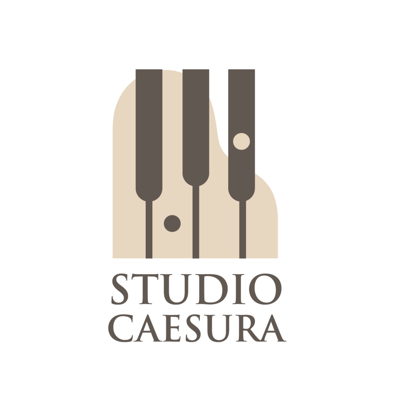 Studio Caesura