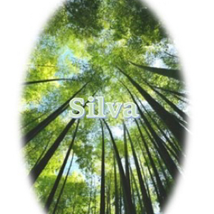 Silva Accounting Services