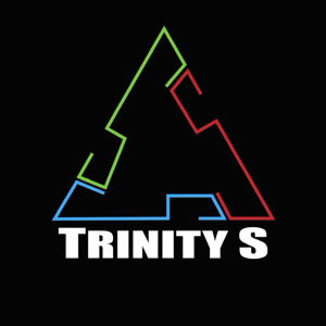 TRINITY S COMPANY