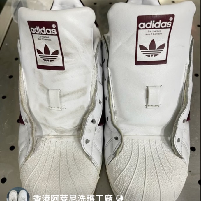 香港阿萊尼洗護工廠公司